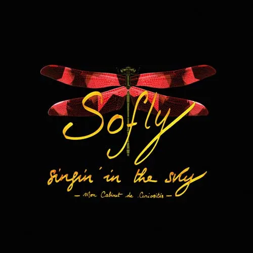 Mon cabinet de curiosités, premier album de covers de Sofly chanteuse au piano